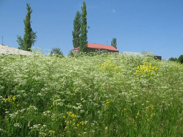 © Seda G. - Arm.landscape:)