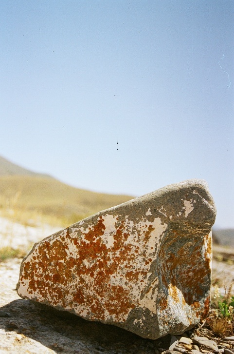 © zhirair terzyan - just a stone....