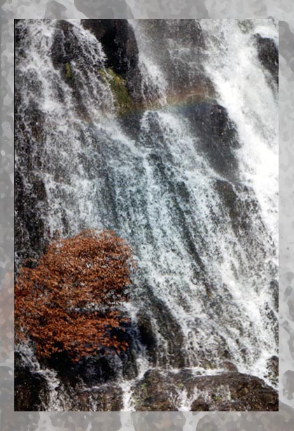© Arto - Tree, Rainbow, Waterfall