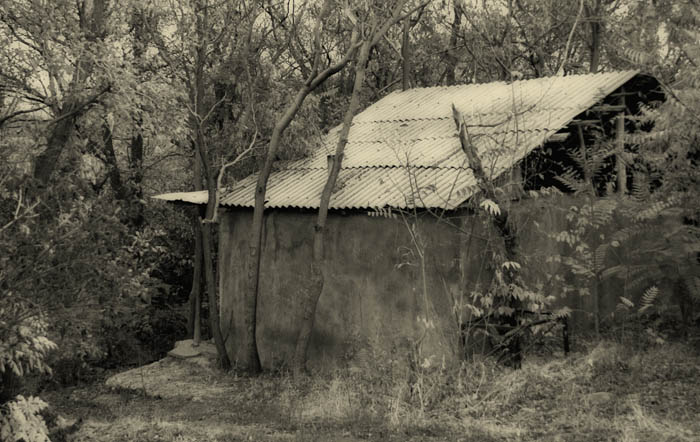 © Suren Manvelyan - A lonely house.