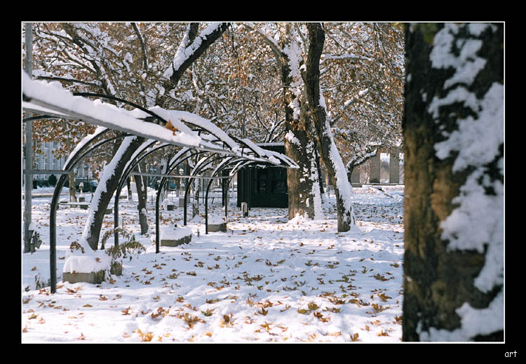 © Artak Margaryan - winter***4