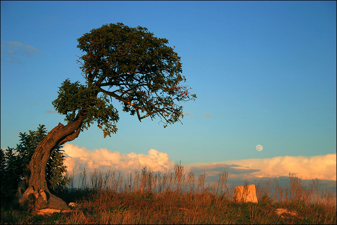 © Immer Oben - Fullmoon