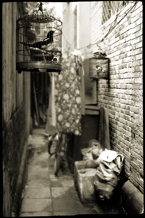 © Stanislav Krzhezevich - В старых улочках Пекина\ In old streets of Bejin.