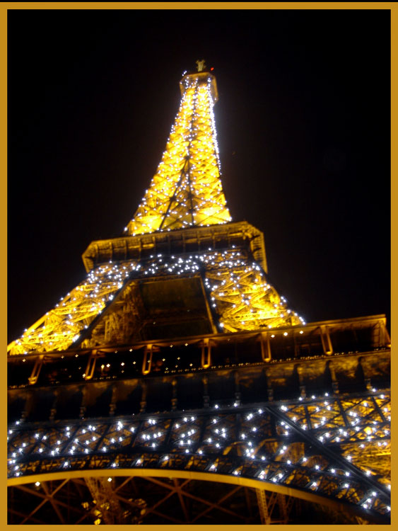 © Doberman - Paris