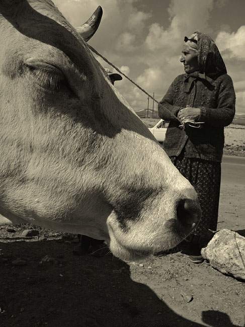 © Suren Manvelyan - Vardush tota and her smiling cow Sirush.