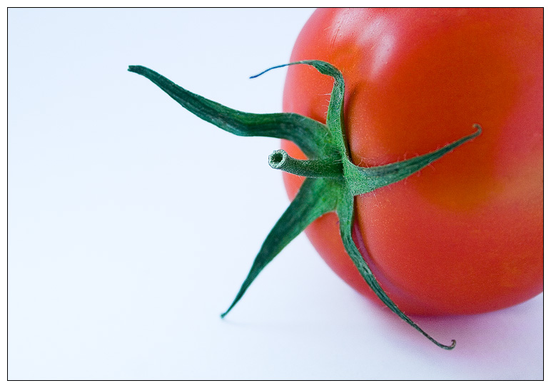 © kipling - macho tomato
