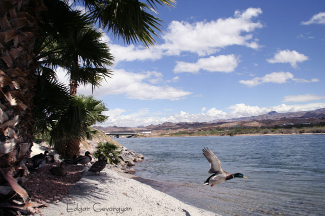 © Edgar Gevorgyan - Colorado River