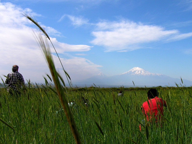 © Hovhannes Hovhannisyan - ...Наступление...