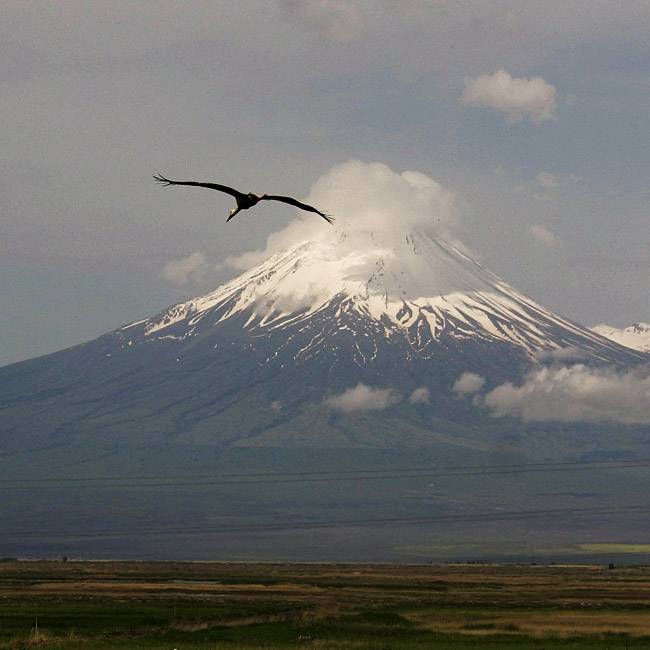 © Suren Manvelyan - Ararat