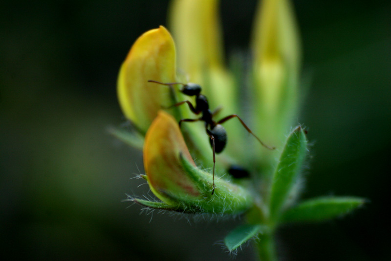 © hayk - climber