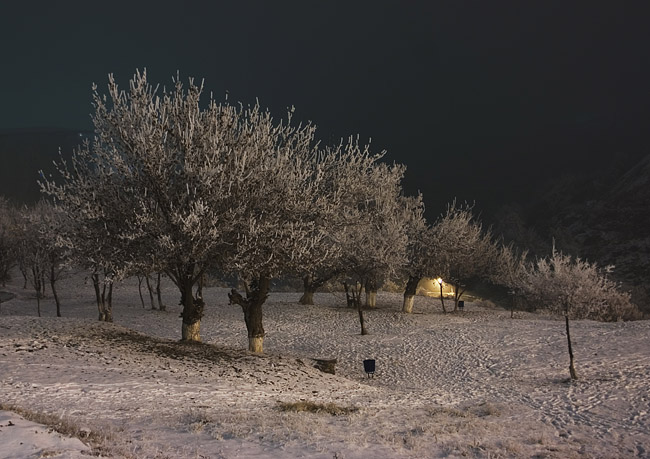 © Suren Manvelyan - Зимняя сказка