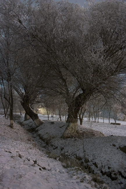 © Suren Manvelyan - Winter fairy