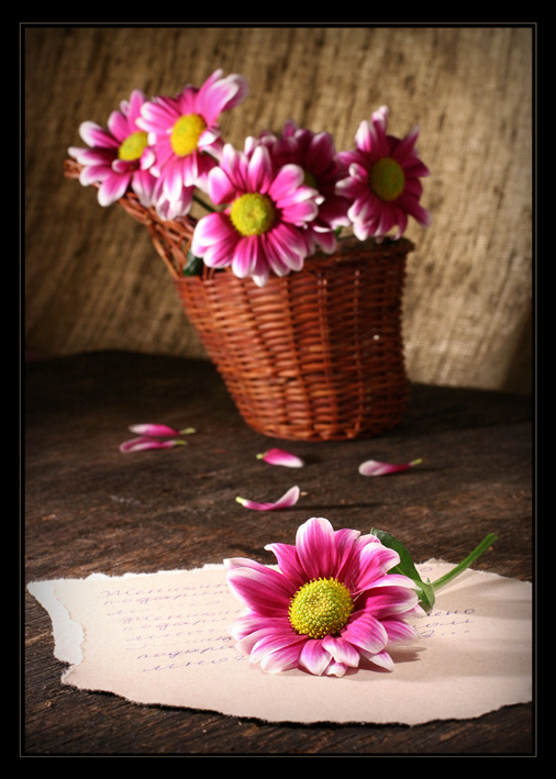 © Andro - Женщине невозможно подарит слишком много цветов ...