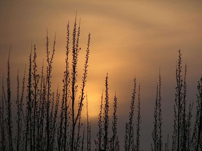 © Armine - not a good ending but a new beginning
