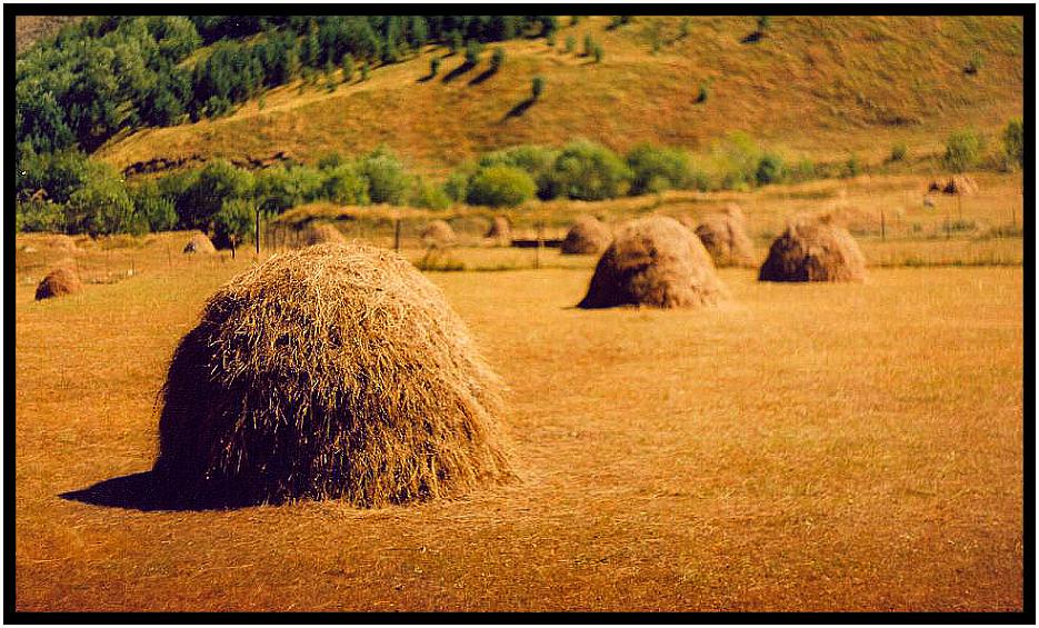 © axl - utro v kazbegi