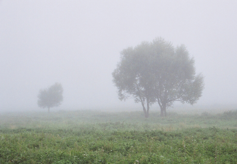 © Senekerimyan Hayk - Туман на рассвете