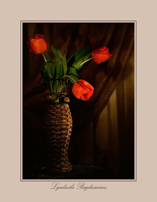 © LB - Про тюльпаны...