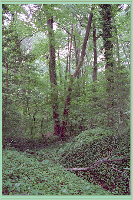 © Hmayak Ghazaryan - Dedication to Sunburst #10 - Green and Soft