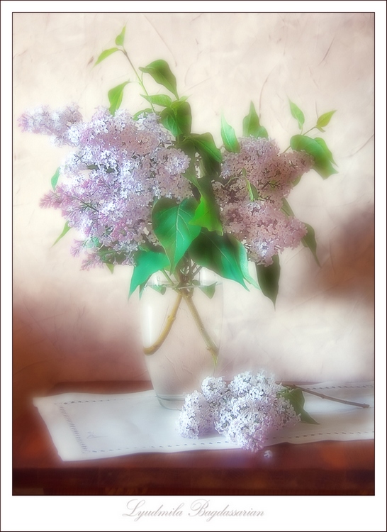 © LB - Cирень и настроение (в цвете)