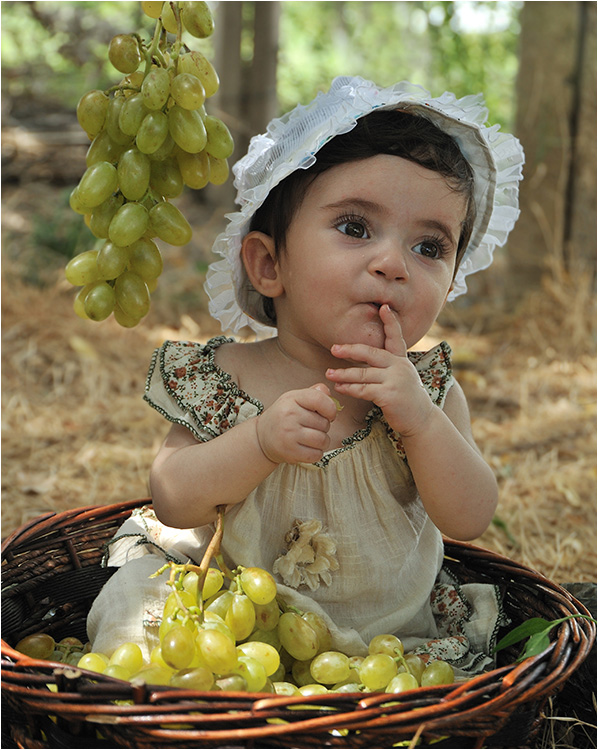 © Senekerimyan Hayk - in the basket