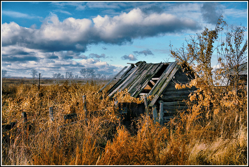 © aushra vanagas - умереть, чтобы родиться