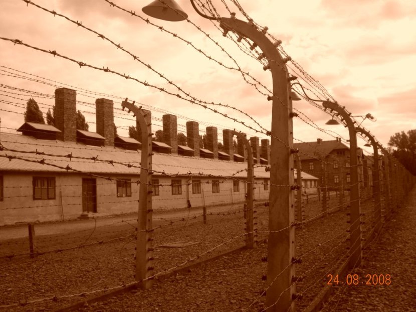 © Yeghoyan Anna - Auschwitz