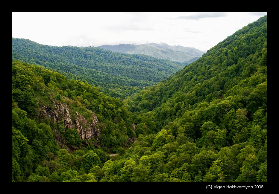 © Vigen Hakhverdyan - Леса Агарцина