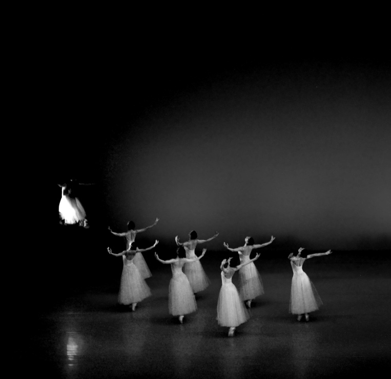© Lilit Safaryan - ***