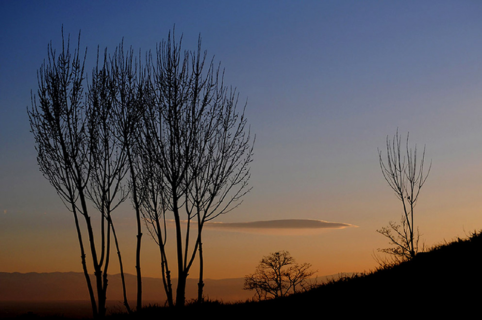 © Lusine Nerkararyan - Natural harmony