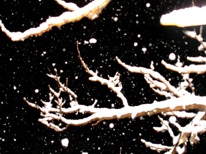 © Anna Nasibyan - Ձյունը երկար սպասեց գիշերվա խորհրդին...