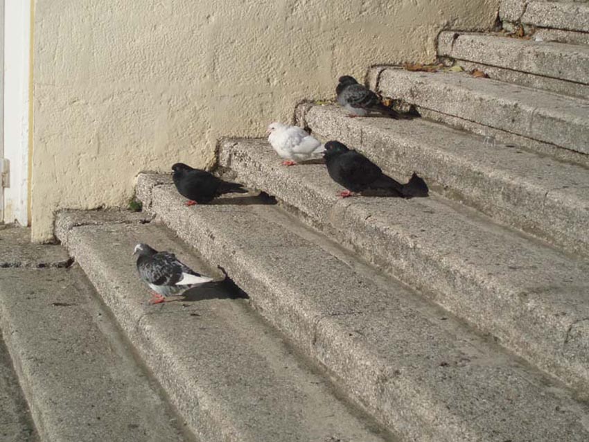 © Lia Sahakyan - no_name: