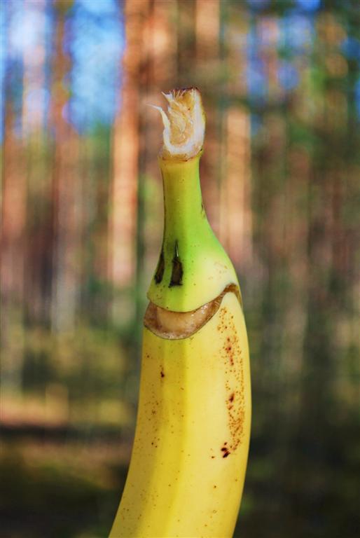 © Lilit Serobyan - funny-banana**