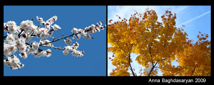© Anna Baghdasaryan - spring vs autumn