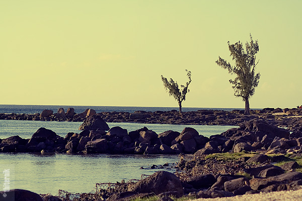 © Emma Grigoryan - Mauritian Winter