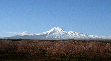 © Araik - Ararat in March