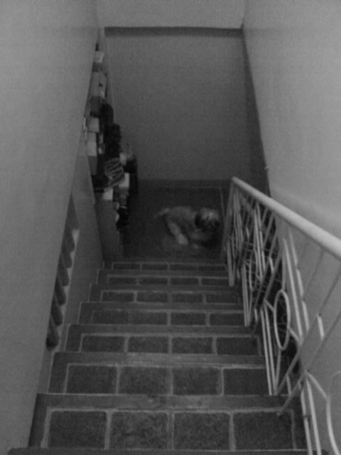 © kristine imbao - stairs