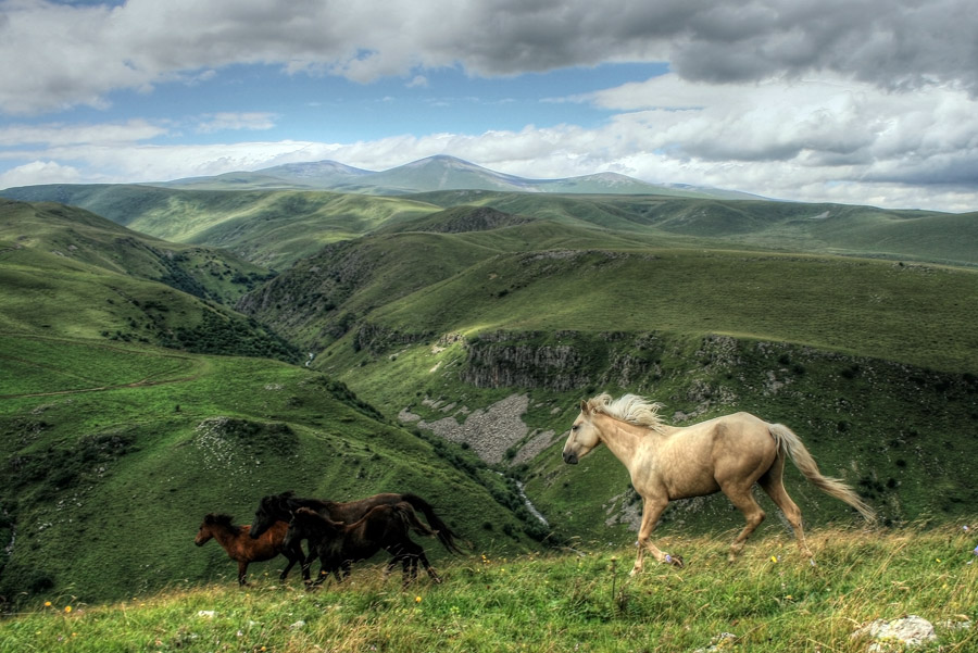 © Tigran Biface Lorsabyan - Они свободны, а мы...?