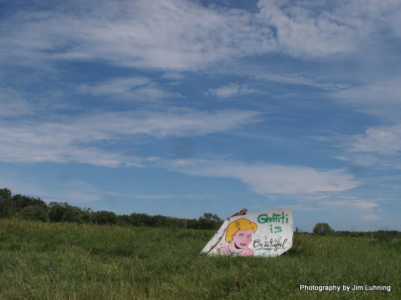 © Jim Luhning - Out stand in it's field