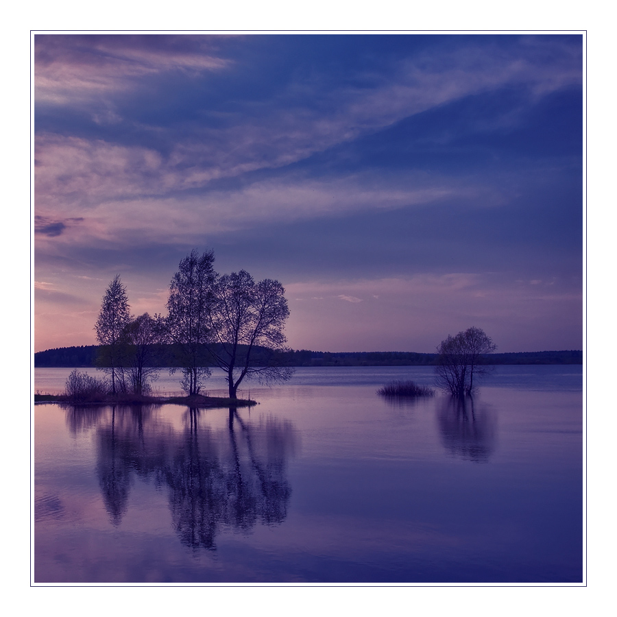 © Oleg Dmitriev - in the lavender twilight