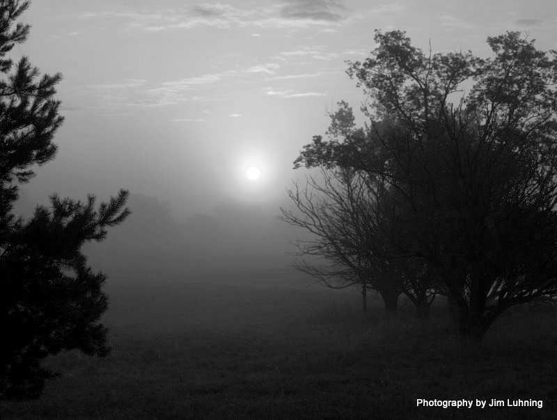 © Jim Luhning - Foggy Morning in B&W