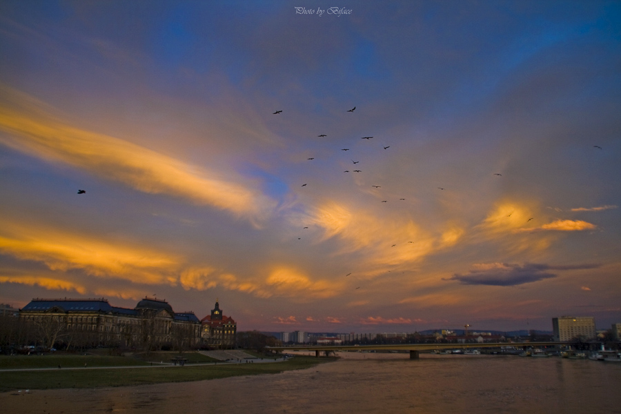 © Tigran Biface Lorsabyan - In Dresden