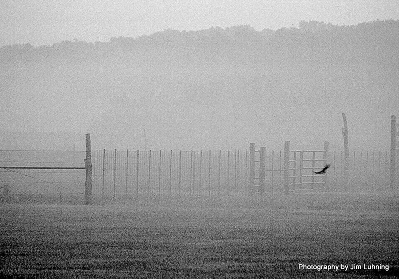 © Jim Luhning - Flying the Foggy Fence Line!