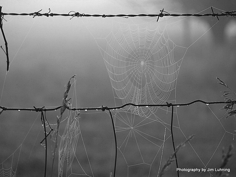 © Jim Luhning - Fences and Traps!