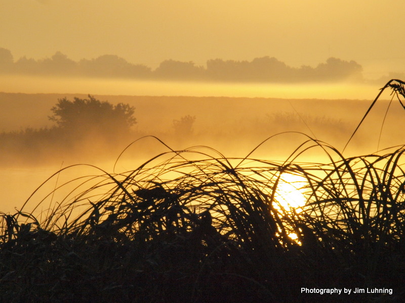 © Jim Luhning - Beautiful Swamp