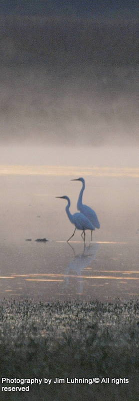 © Jim Luhning - Beautiful Couple