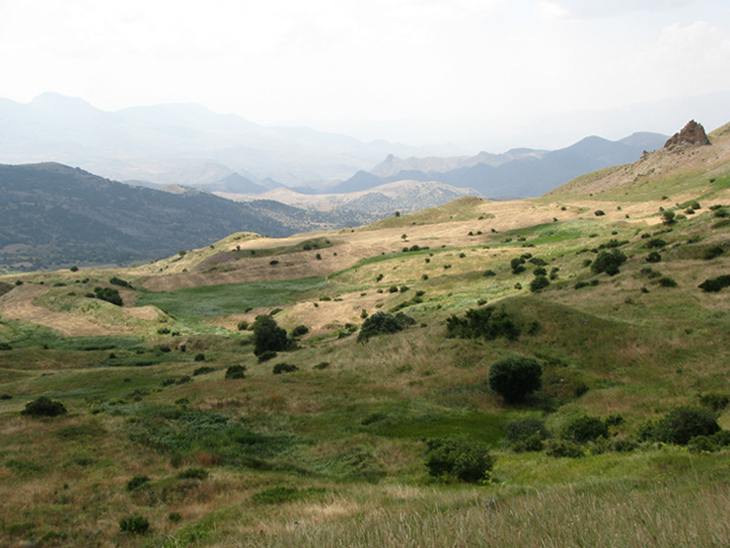 © Arevik Hambardzumyan - Fields of Armenia