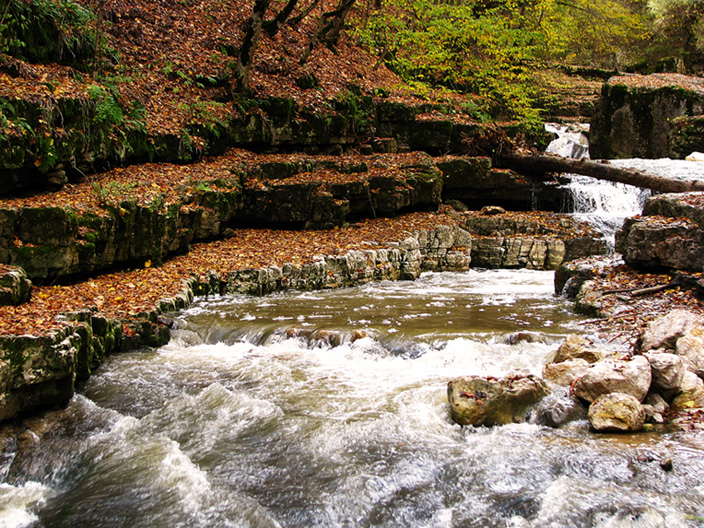 © Arevik Hambardzumyan - River in Lastiver