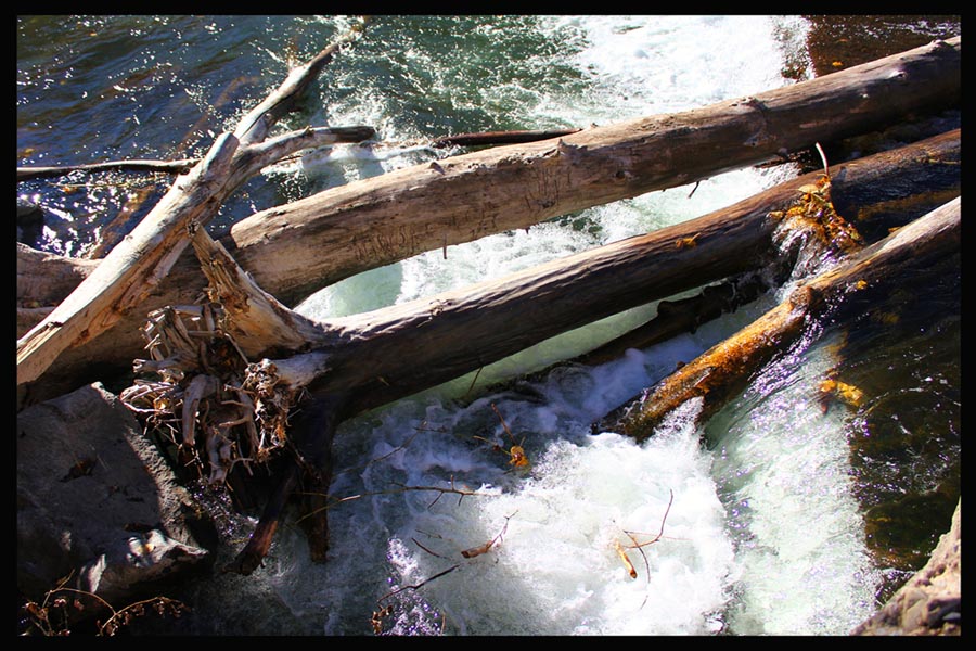 © Heidi Cook - River Dam Logs