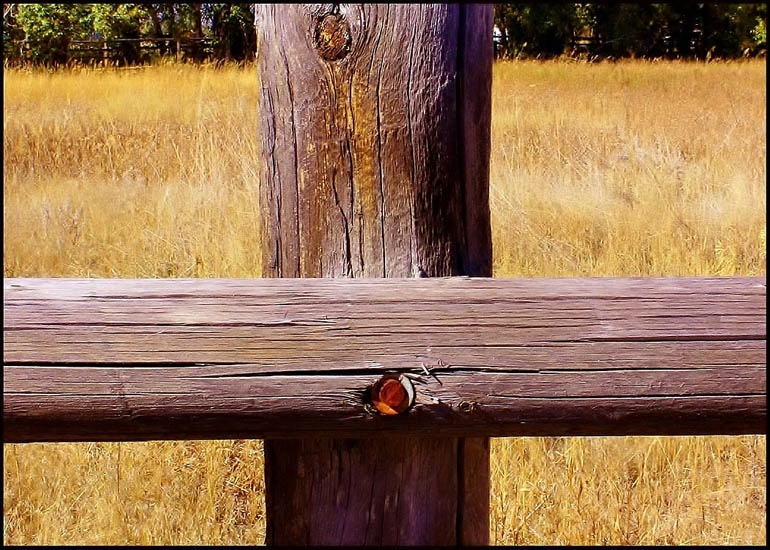 © Heidi Cook - Fence Cross