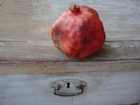 © Gayaneh Hovhannisyan - Pomegranate